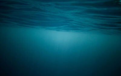 Riflessologia Plantare Elemento Acqua: Caratteristiche ed Emozioni