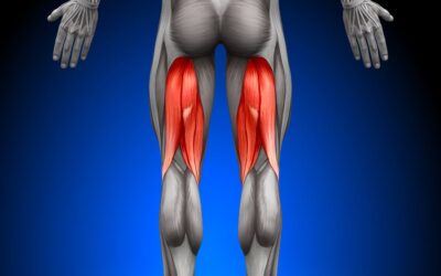 Bicipite Femorale: Anatomia e Massaggio