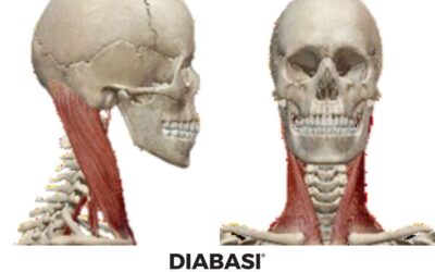 Muscoli Scaleni: Anatomia e Massaggio