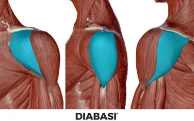 Muscolo Deltoide: Anatomia e Massaggio